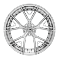 Sixnine V-ONE INLAY | Hyper Silber | 20 Zoll