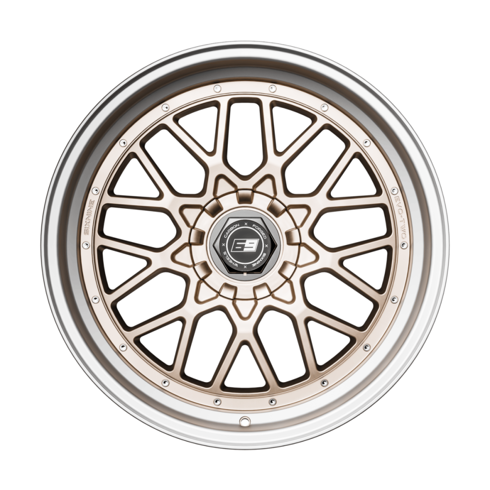 Sixnine EVO-TWO 10.5x21 ET20 | 5x112 / 5x120 Champagner Gold